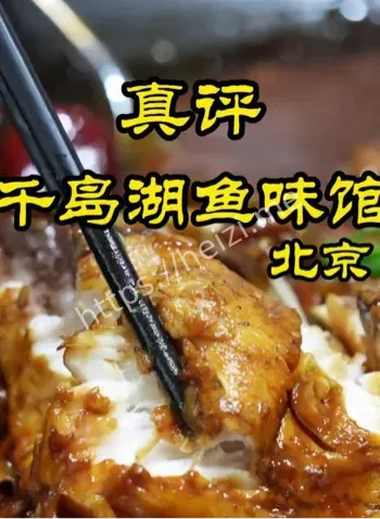南宁生料横评